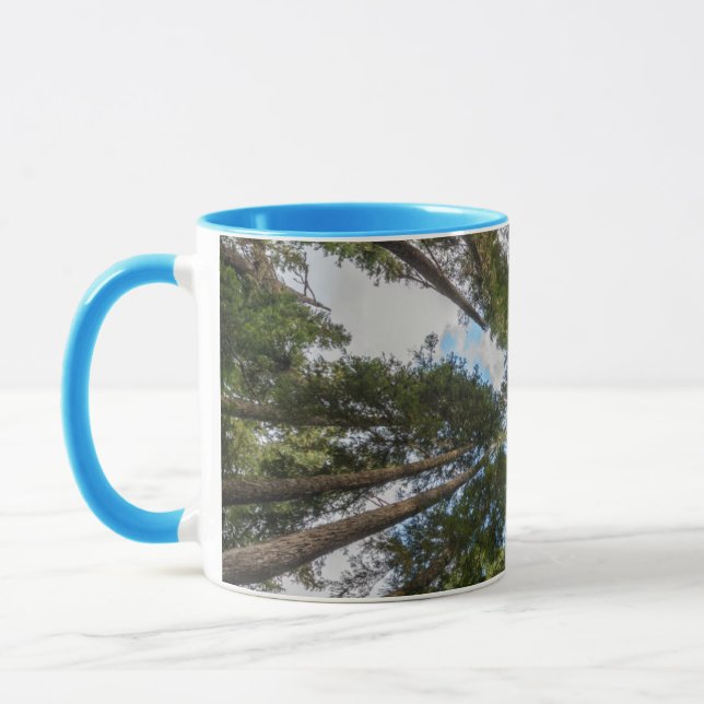 Douglas Fir tree canopy Mug (Left)