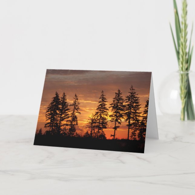 Douglas Firs and the Sunrise. - Frameable Art Card (Front)