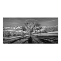 Doulting Hill Panorama