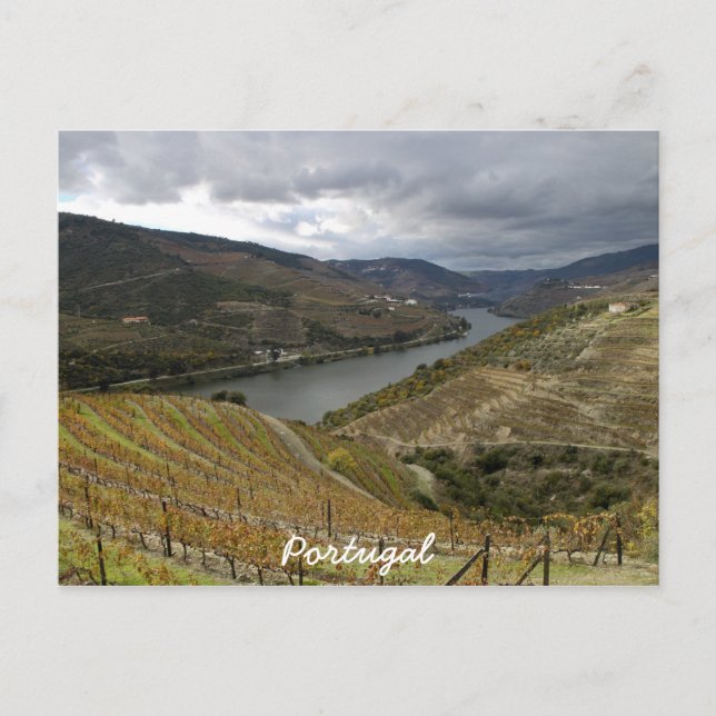 Douro Postcard (Front)