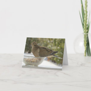 Dove and Bowl - Blank Greeting Card