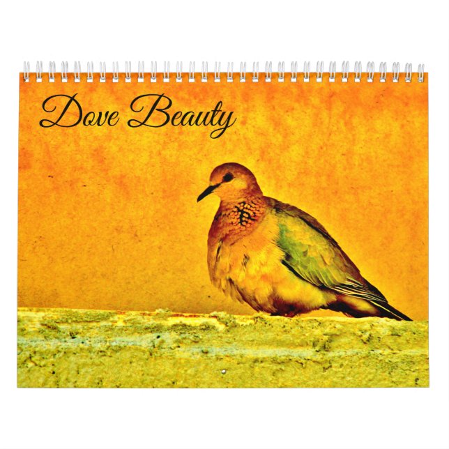 Dove Beauty Calendar (Cover)