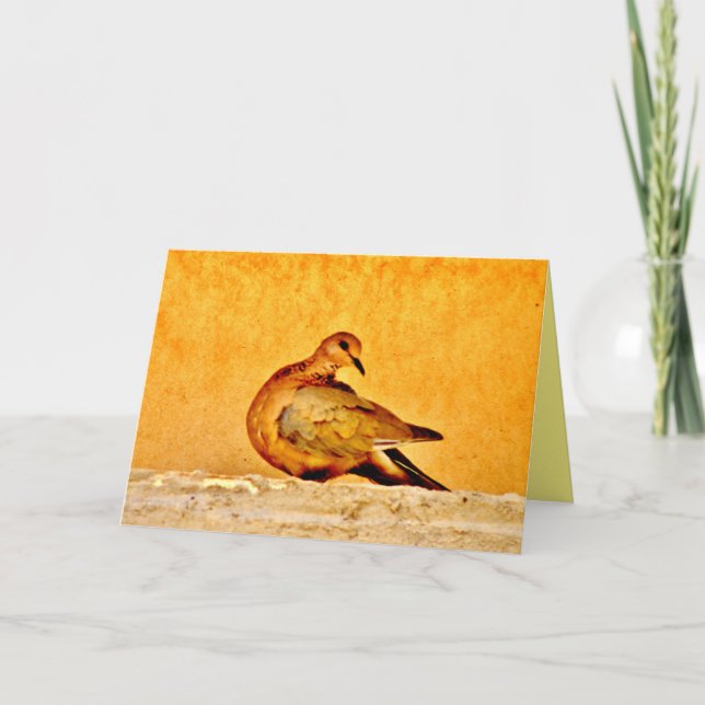 Dove Beauty Card (Front)