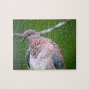 Dove Bird Jigsaw Puzzle