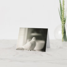 Dove Blank Card