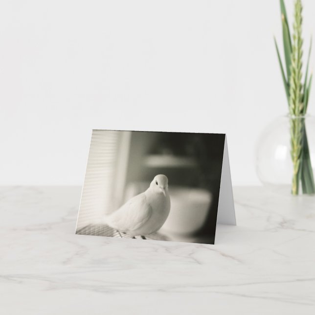 Dove Blank Card (Front)