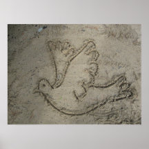 Dove Drawn into the Sand Poster