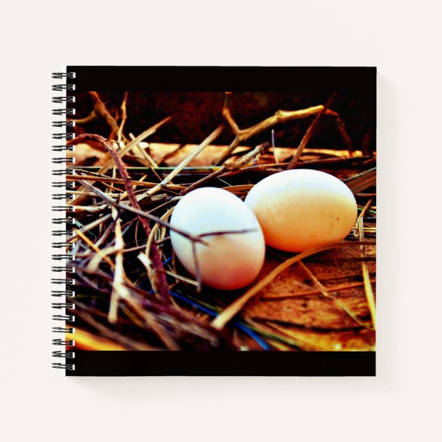 Dove Eggs Notebook (Front)
