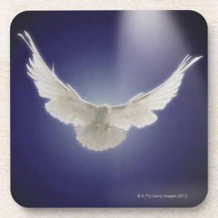 Dove flying through beam of light coaster