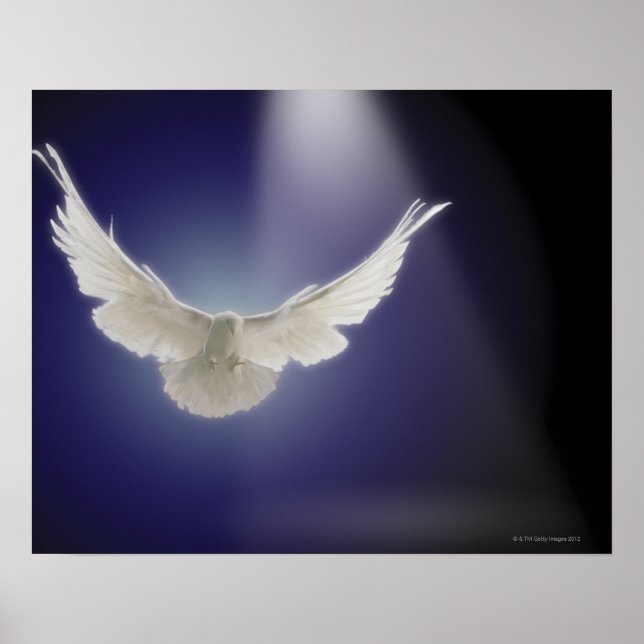 Dove flying through beam of light poster (Front)
