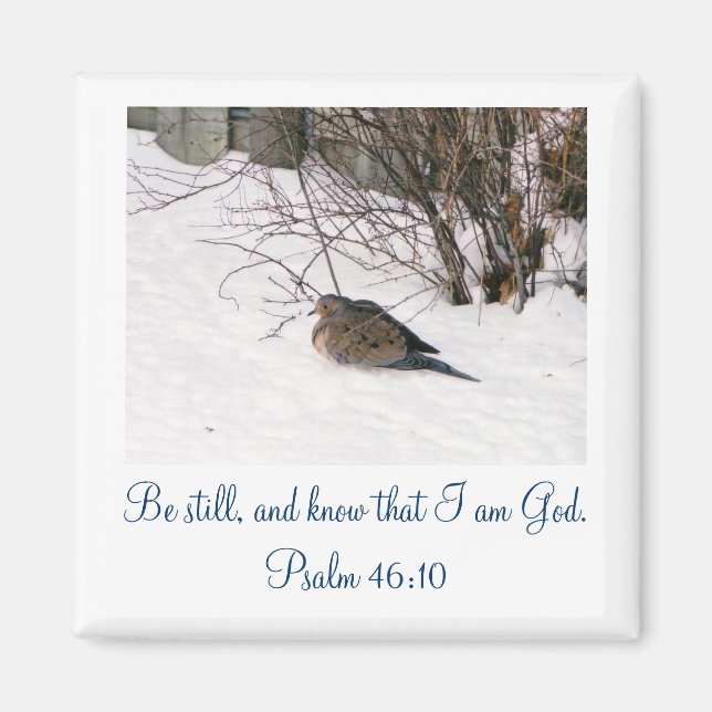 Dove in the Snow Scipture Magnet (Front)