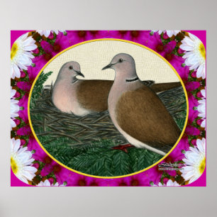 Dove Nest and Flowers Poster