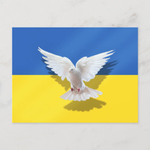 Dove of Peace - Flag of Ukraine - Freedom - Peace  Postcard