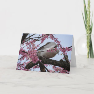 Dove & Redbud Blossoms Card
