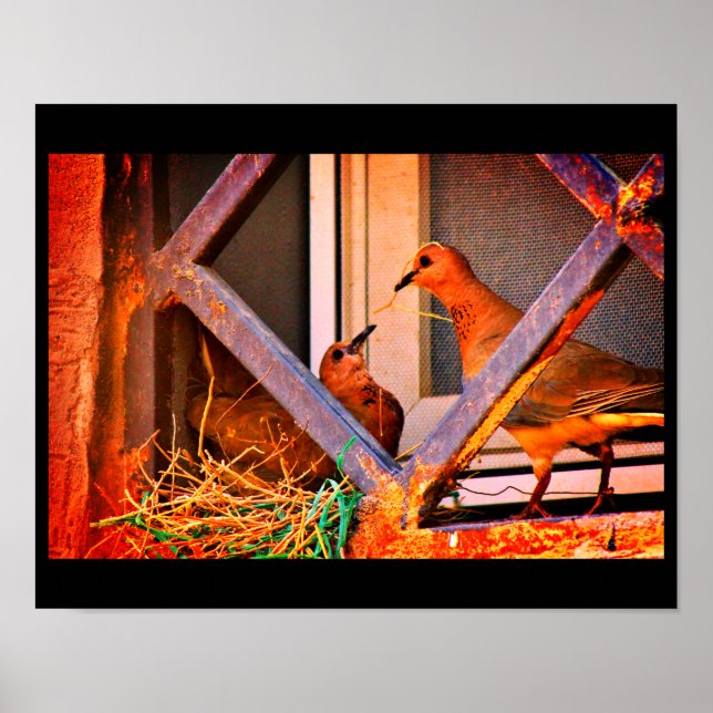 Dove Romance Poster (Front)