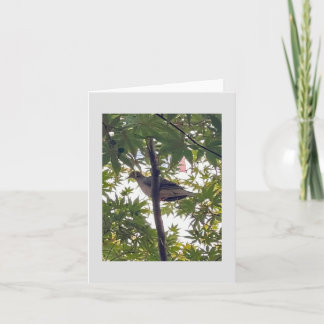 dove waiting card
