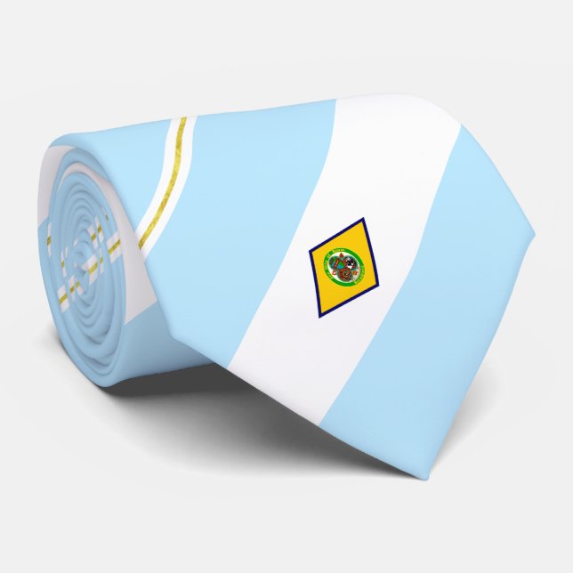Dover (Delaware) city flag Neck Tie (Rolled)