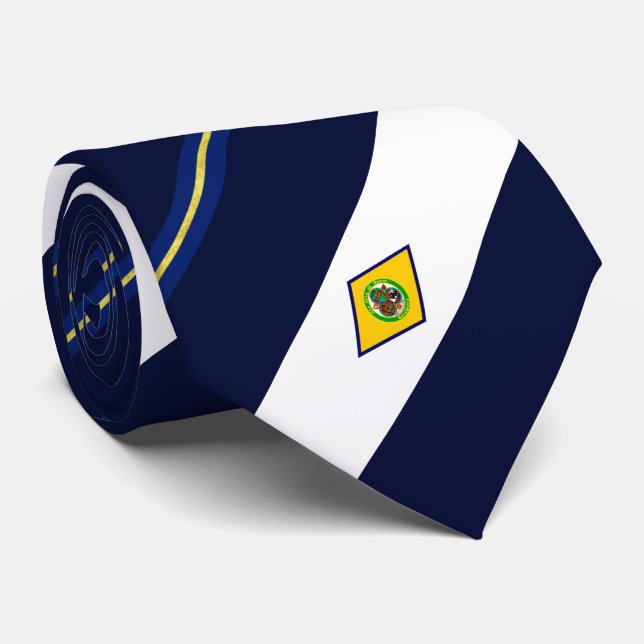 Dover (Delaware) city flag Neck Tie (Rolled)