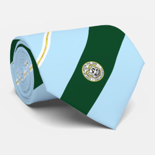 Dover (New Hampshire) city flag Neck Tie