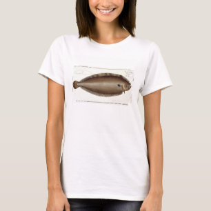 Dover Sole (Solea Solaea) plate XLV from 'Ichthyol T-Shirt