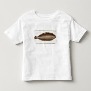 Dover Sole (Solea Solaea) plate XLV from 'Ichthyol Toddler T-Shirt