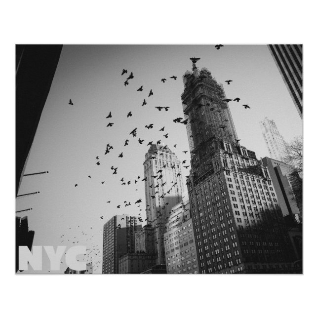 Doves over Manhattan Poster (Front)