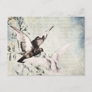 Doves Postcard