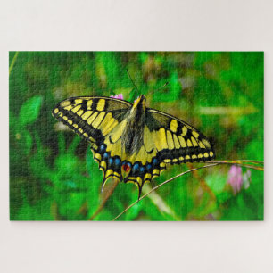 Dovetail Papilio Machaon Butterfly. Jigsaw Puzzle