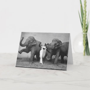 Dovima Card
