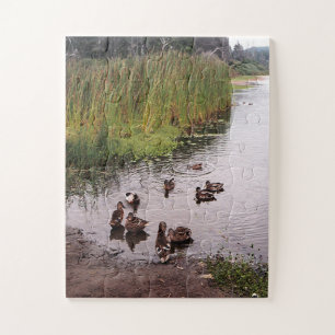 Down at the swamp.... jigsaw puzzle