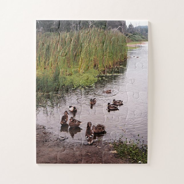 Down at the swamp.... jigsaw puzzle (Vertical)