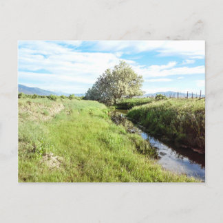 Down By the Creek Postcard