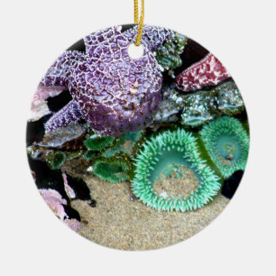 Down by the Sea Christmas Ornament