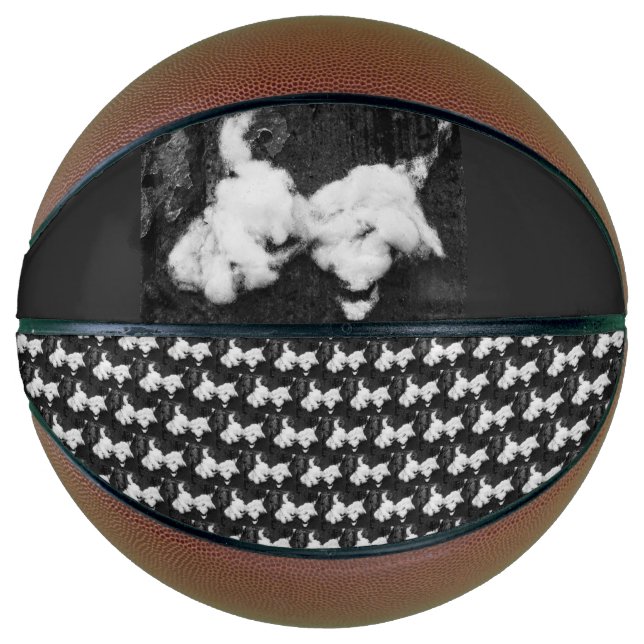 down fluffy basketball (Front)