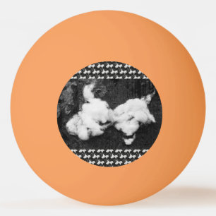 down fluffy ping pong ball
