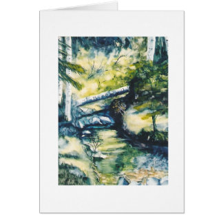 Down from Oowah Lake