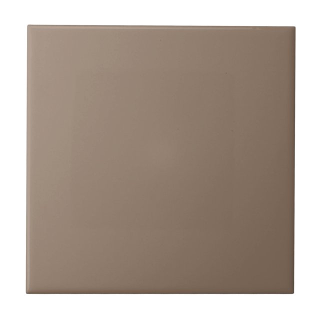 Down Homey Brown Square Kitchen and Bathroom Ceramic Tile (Front)