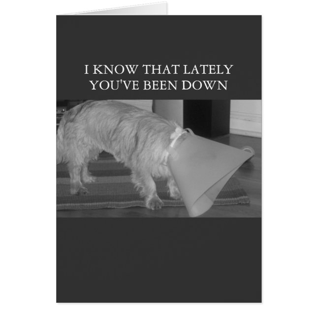 down in the dumps (Front)