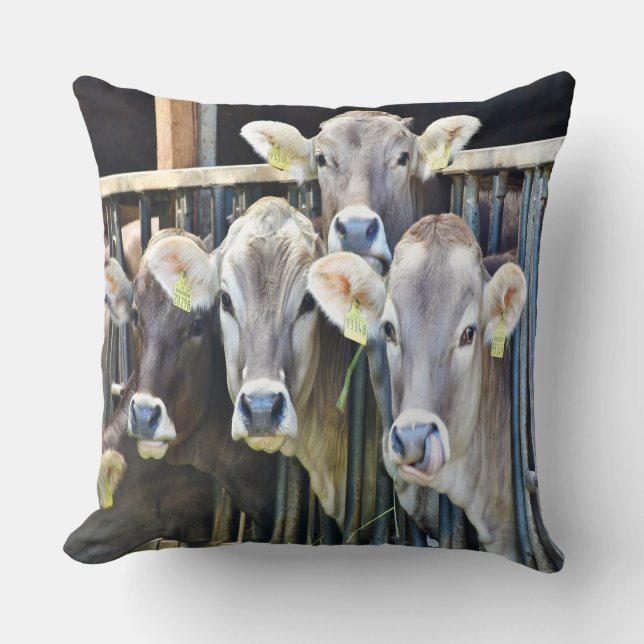 Down On The Farm Cows Cushion (Front)