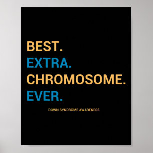 Down Syndrome Awareness Best Extra Chromosome Ever Poster