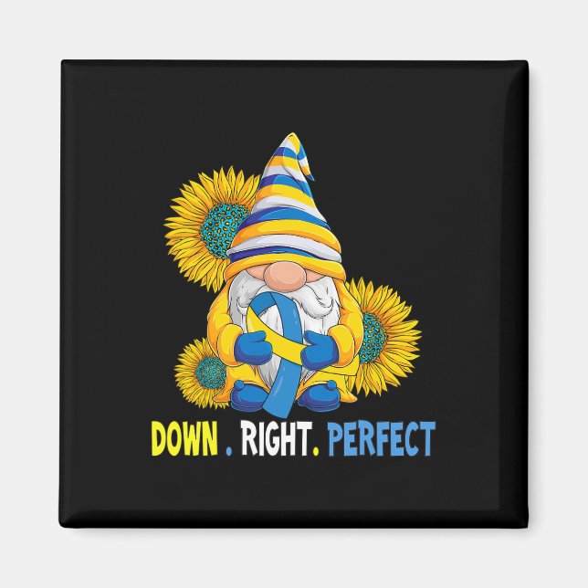 Down Syndrome Awareness Gnome Down Right Perfect T Magnet (Front)