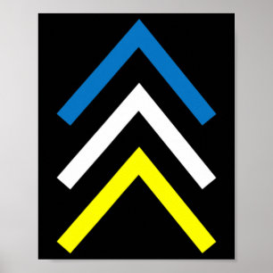 Down Syndrome Three Chromosome Arrows Awareness Mo Poster