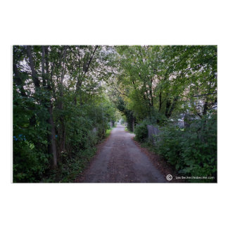Down the Back Lane Poster