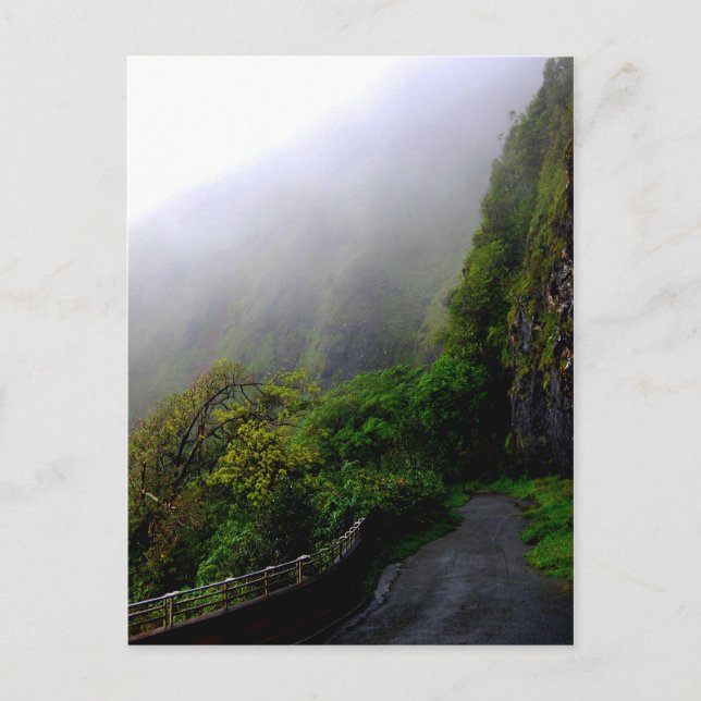 "Down the Beaten Path" postcard (Front)