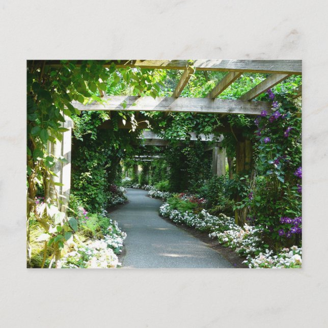 Down the Garden Path Postcard (Front)