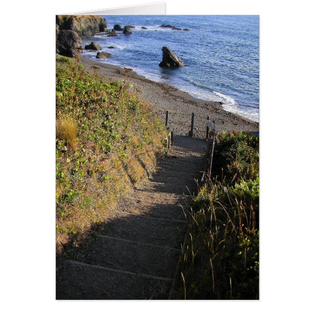 Down to Shark Rock (Front)