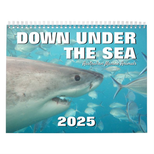 Down Under The Sea Australia Marine Animals Calendar (Cover)