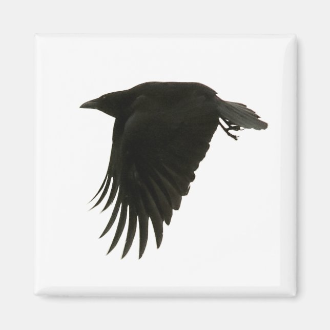 downbeat magnet (Front)