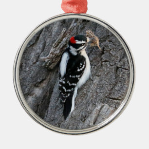 Downey Woodpecker Metal Ornament