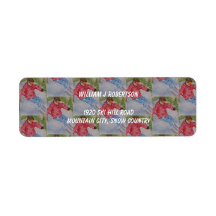 DOWNHILL SKIER ADDRESS RETURN ADDRESS LABEL